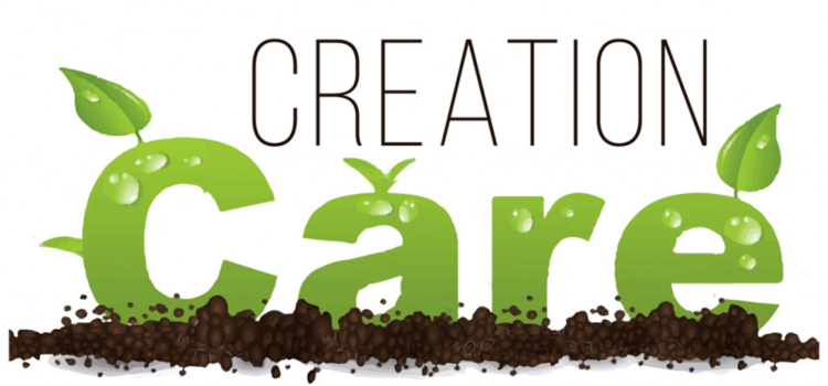 New Creation Care Resources!