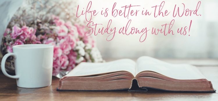 Discipleship Opportunities